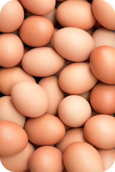 vista-de-angulo-alto-de-los-alimentos-para-la-venta-en-la-tienda 1