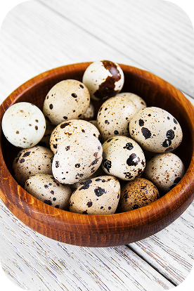 vista-de-angulo-alto-de-los-alimentos-para-la-venta-en-la-tienda 2 (4)