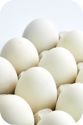 vista-de-angulo-alto-de-los-alimentos-para-la-venta-en-la-tienda 4 (4)